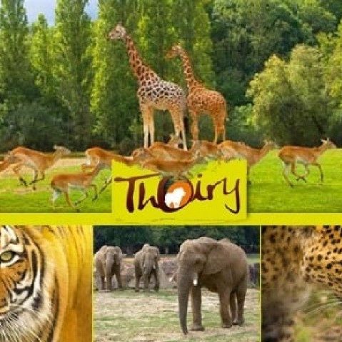 safari thoiry tarif