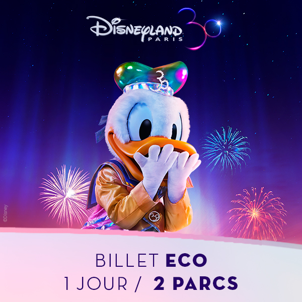 DISNEYLAND PARIS : Billet Eco 1 jour/2 parcs – Tarif Unique Adulte/Enfant –  ProxiCE