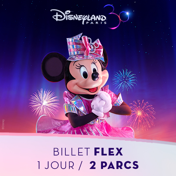 E- Billet ECO - Disneyland Paris Enfant 1 Jour 2 Parcs - Valid. jusqu'au  02/10/2024 selon calendrier - PROMOPARCS.COM