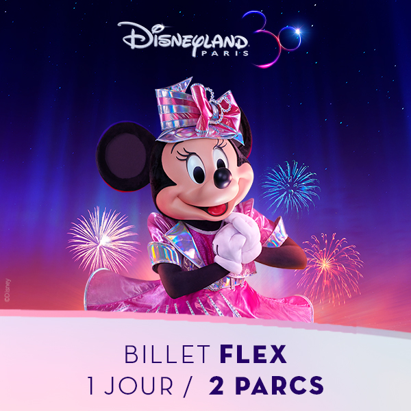 DISNEYLAND PARIS Billet Flex 1 jour/2 parcs Tarif Unique Adulte/Enfant ProxiCE