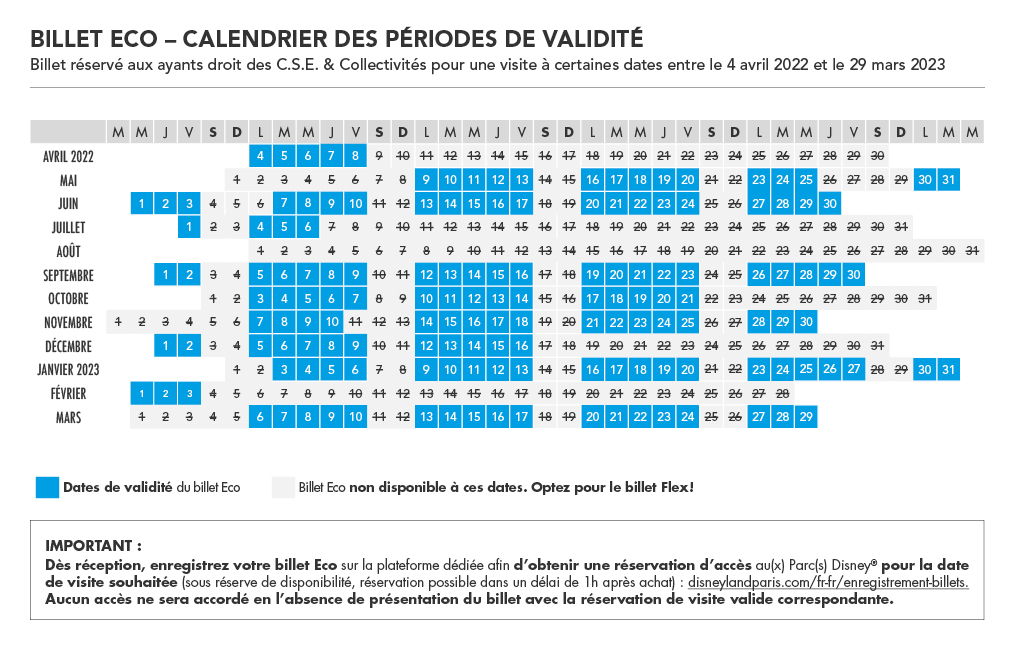 DISNEYLAND PARIS Billet Eco 1 jour/1 parc Tarif Unique Adulte