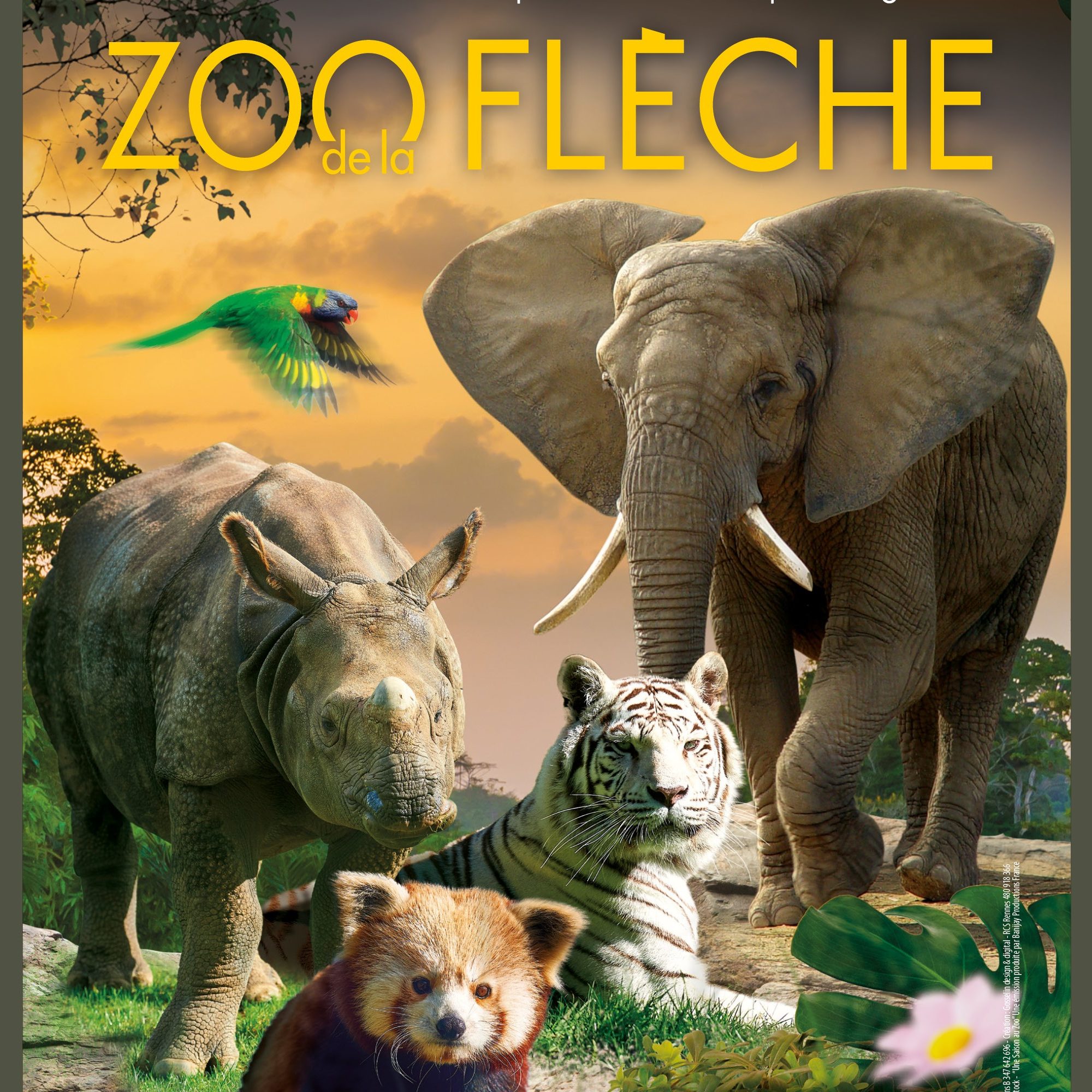 carrefour voyage zoo de la fleche