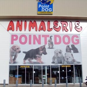 Point Dog - ALLONNE (60)