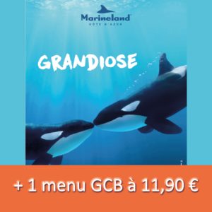 MARINELAND