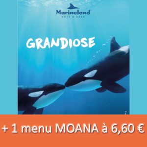 MARINELAND