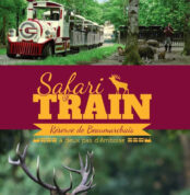 SAFARI TRAIN Image 2 SAFARI TRAIN Image 2