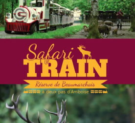 SAFARI TRAIN Image 2 SAFARI TRAIN Image 2