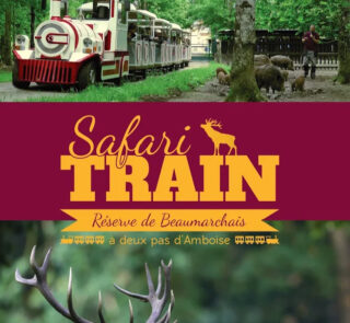 SAFARI TRAIN Image 2 SAFARI TRAIN Image 2