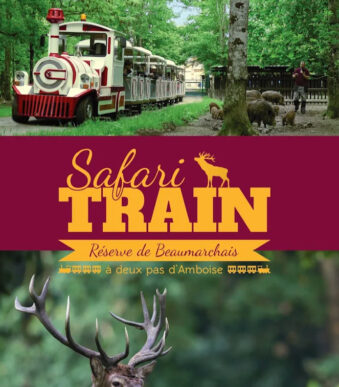 SAFARI TRAIN Image 2 SAFARI TRAIN Image 2